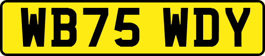 WB75WDY