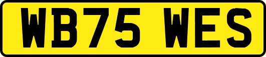 WB75WES