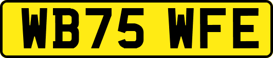 WB75WFE