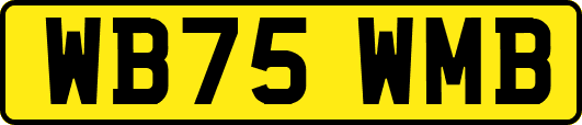 WB75WMB