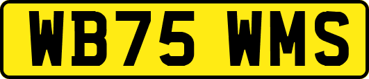 WB75WMS