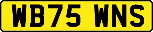 WB75WNS