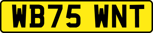 WB75WNT