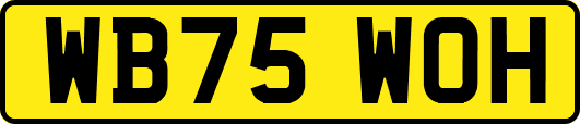 WB75WOH