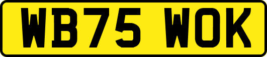 WB75WOK