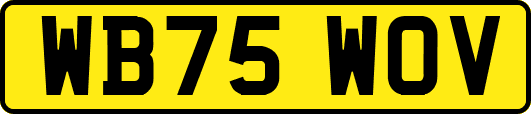 WB75WOV