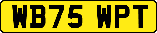 WB75WPT