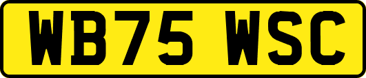 WB75WSC