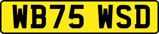 WB75WSD