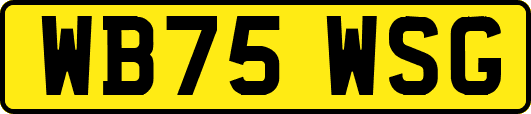 WB75WSG