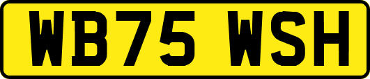 WB75WSH