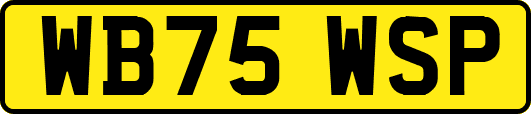 WB75WSP