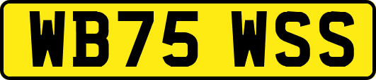 WB75WSS