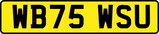 WB75WSU