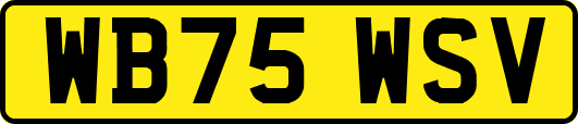 WB75WSV