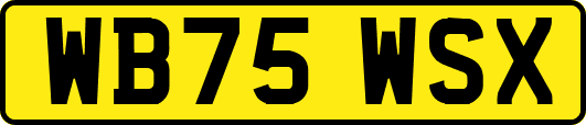 WB75WSX