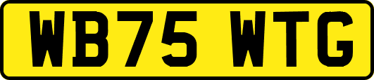 WB75WTG