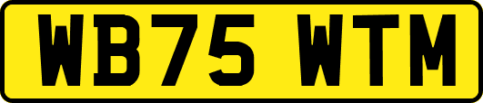 WB75WTM