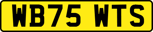 WB75WTS