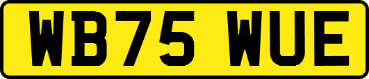 WB75WUE
