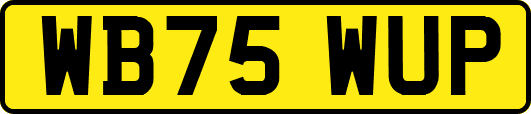 WB75WUP