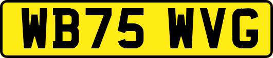 WB75WVG