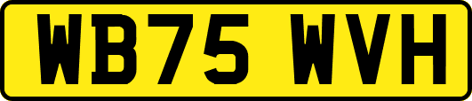 WB75WVH