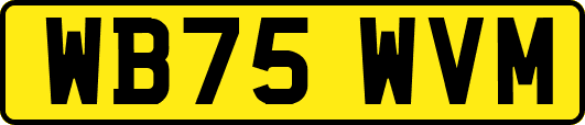 WB75WVM