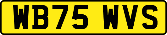 WB75WVS