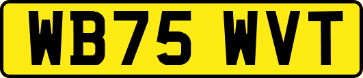 WB75WVT