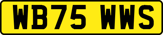 WB75WWS