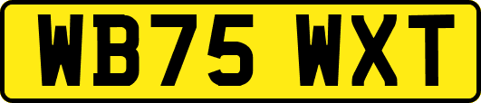 WB75WXT