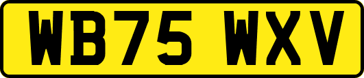 WB75WXV