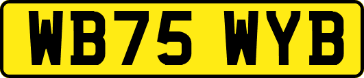 WB75WYB