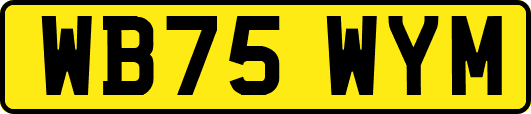 WB75WYM