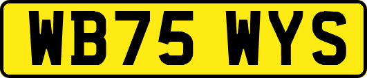 WB75WYS