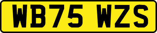 WB75WZS