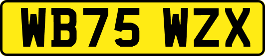 WB75WZX