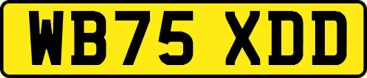 WB75XDD