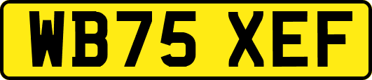 WB75XEF