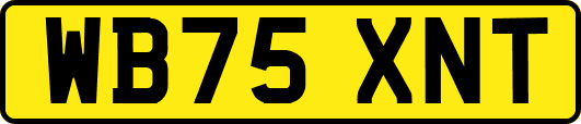 WB75XNT