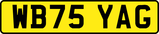 WB75YAG