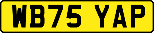 WB75YAP
