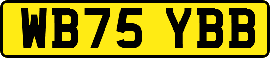 WB75YBB