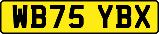 WB75YBX