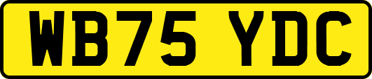WB75YDC