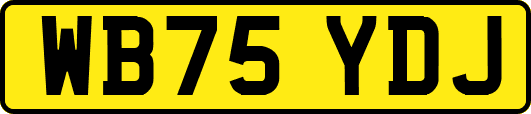 WB75YDJ