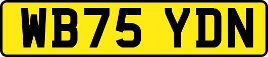WB75YDN