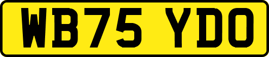 WB75YDO