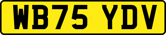 WB75YDV